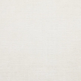 Lodhi Hand Loomed Contemporary Solid Area Rug