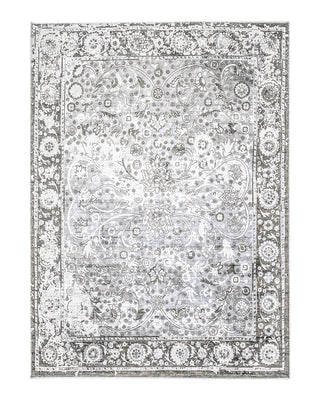 Royal Hand Loomed Contemporary Transitional Area Rug