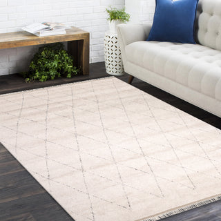 Shaggy Moroccan Hand-Knotted Bohemian Area Rug