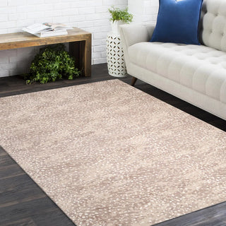 Arash Hand Knotted Contemporary Modern Area Rug