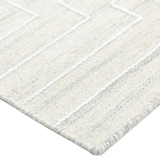 Barry Hand Woven Contemporary Flatweave Area Rug