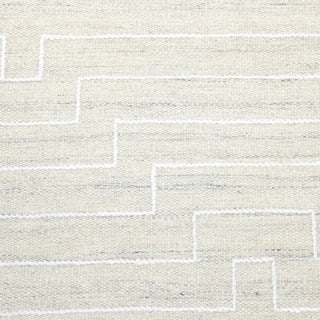 Barry Hand Woven Contemporary Flatweave Area Rug