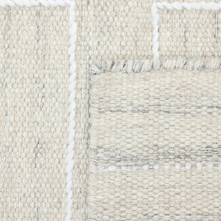 Barry Hand Woven Contemporary Flatweave Area Rug