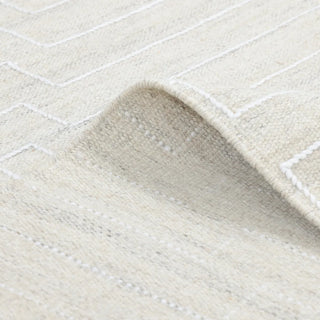 Barry Hand Woven Contemporary Flatweave Area Rug