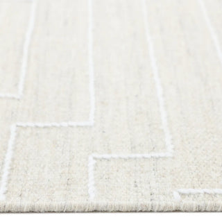 Barry Hand Woven Contemporary Flatweave Area Rug