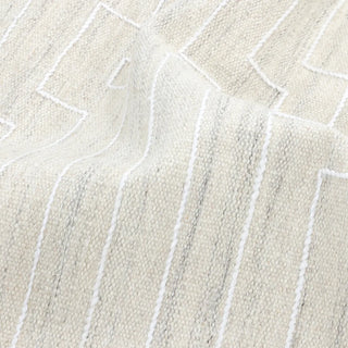 Barry Hand Woven Contemporary Flatweave Area Rug