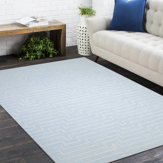 Barry Hand Woven Contemporary Flatweave Area Rug