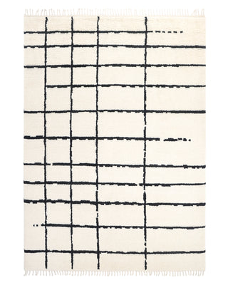 Paris Hand Knotted Bohemian Moroccan Area Rug