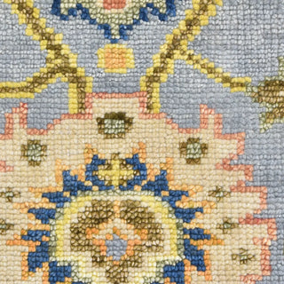Liza Hand Knotted Contemporary Transitional Area Rug