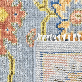 Liza Hand Knotted Contemporary Transitional Area Rug