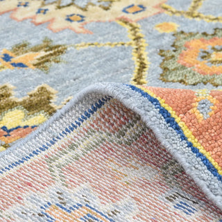 Liza Hand Knotted Contemporary Transitional Area Rug