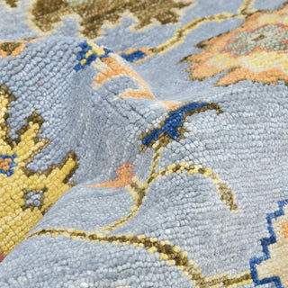 Liza Hand Knotted Contemporary Transitional Area Rug