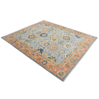 Liza Hand Knotted Contemporary Transitional Area Rug