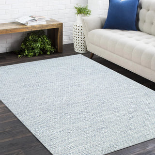 Chatham Hand Woven Contemporary Flatweave Area Rug