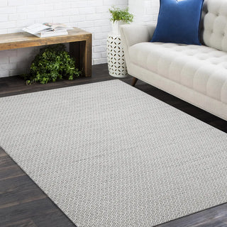 Chatham Hand Woven Contemporary Flatweave Area Rug