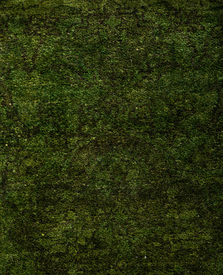 Contemporary Overdyed Wool Hand Knotted Green Area Rug 4' 2" x 6' 0"