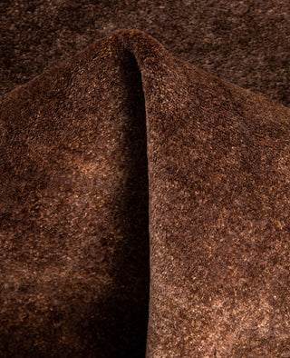 Fine Vibrance, One-of-a-Kind Hand-Knotted Area Rug  - Brown, 3' 3" x 5' 4"