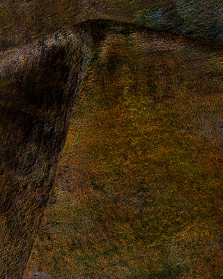 Contemporary Fine Vibrance Brown Wool Area Rug - 8' 11" x 11' 9"