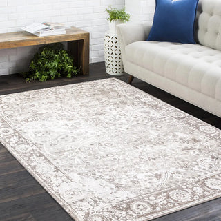Royal Hand Loomed Contemporary Transitional Area Rug Royal Hand Loomed Contemporary Transitional Area Rug