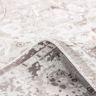 Royal Hand Loomed Contemporary Transitional Area Rug
