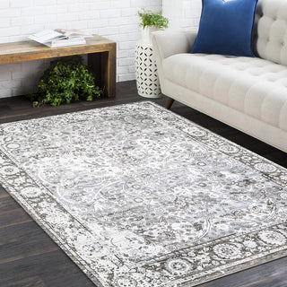 Royal Hand Loomed Contemporary Transitional Area Rug