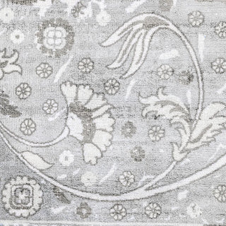 Royal Hand Loomed Contemporary Transitional Area Rug