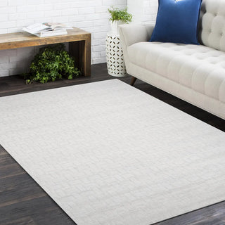 Peyton Hand Loomed Contemporary Modern Area Rug