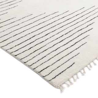 Bernie Hand-Knotted Bohemian Moroccan Area Rug