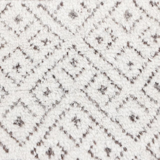 Thomas Hand-Knotted Bohemian Moroccan Area Rug