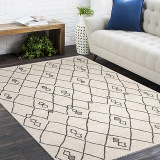 Amina Hand-Knotted Bohemian Moroccan Area Rug