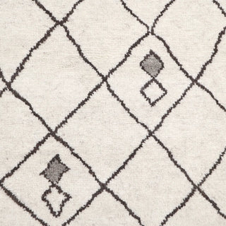 Amina Hand-Knotted Bohemian Moroccan Area Rug