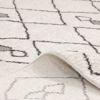 Amina Hand-Knotted Bohemian Moroccan Area Rug