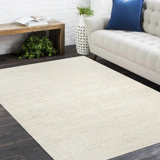 Wayne Hand Woven Contemporary Transitional Jute Area Rug