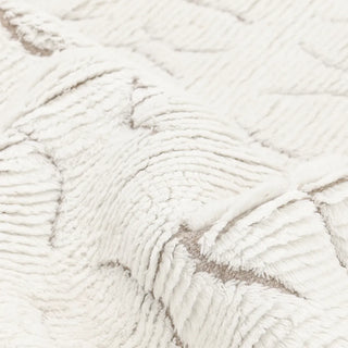 Astoria Hand Knotted Modern - Contemporary Ivory Area Rug