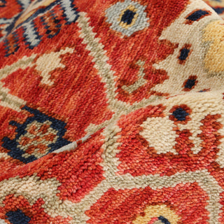 Dundee Hand Knotted  Area Rug