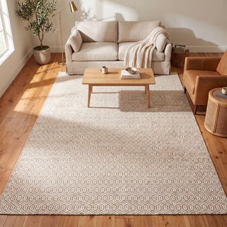 Chatham Hand Woven Contemporary Flatweave Area Rug