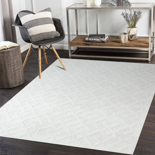 Arlo Indoor/Outdoor Hand Loomed Contemporary Modern Area Rug - Solo Rugs